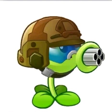 🟢🟢🟢🟢🟢🟢