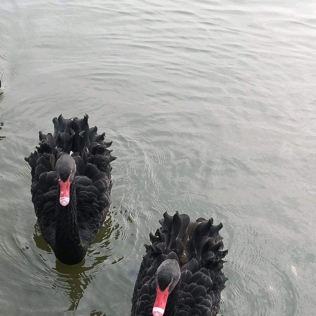 用户4913058333647存钱给你