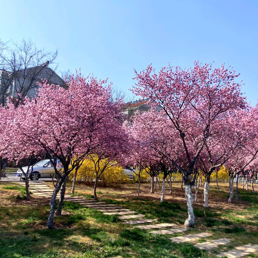 世纪广场祝海燕