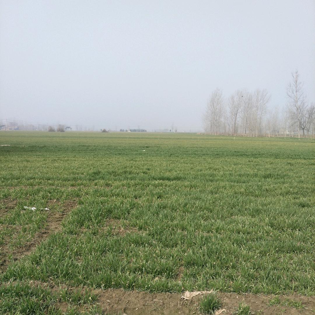 448防腐木安装团队