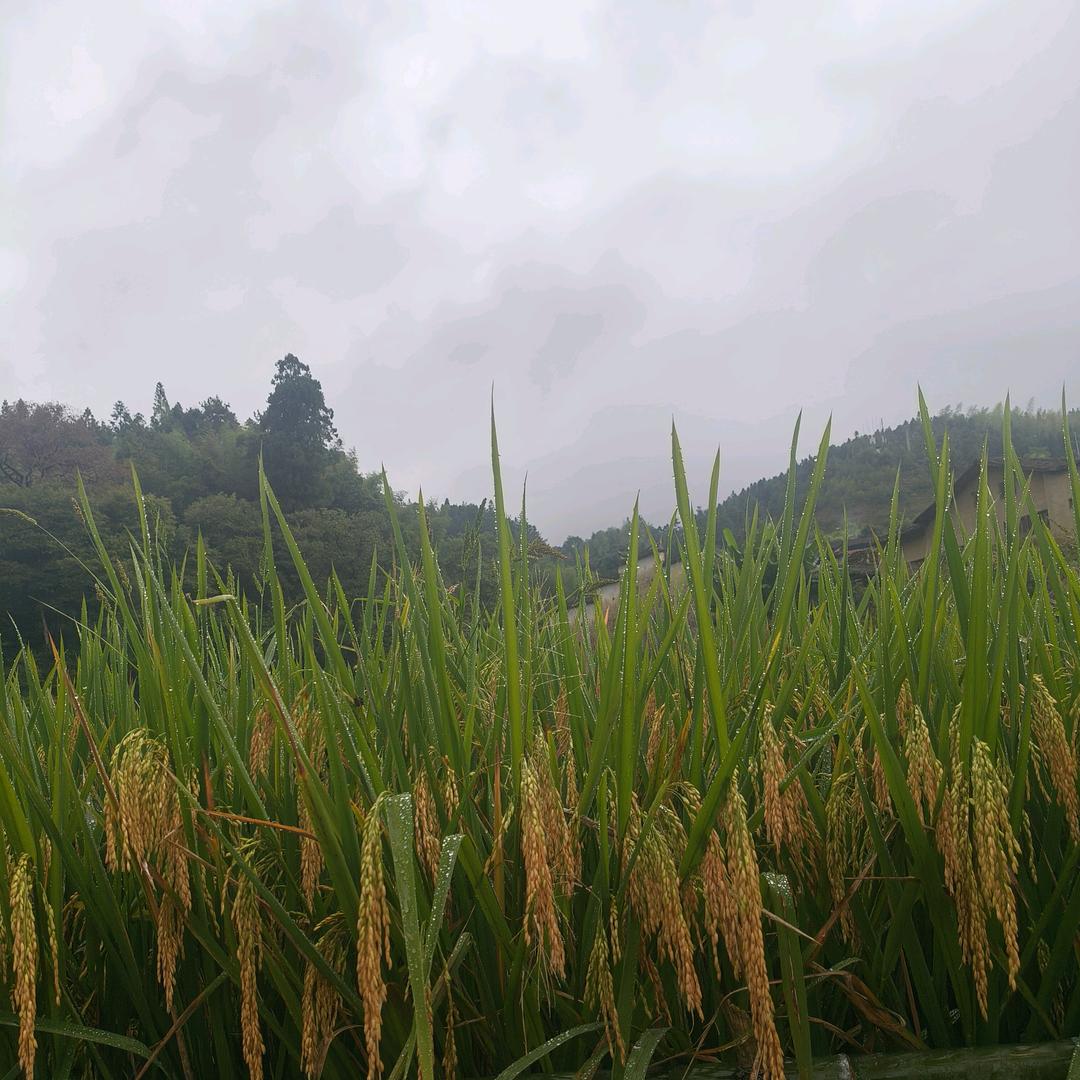 冷暖