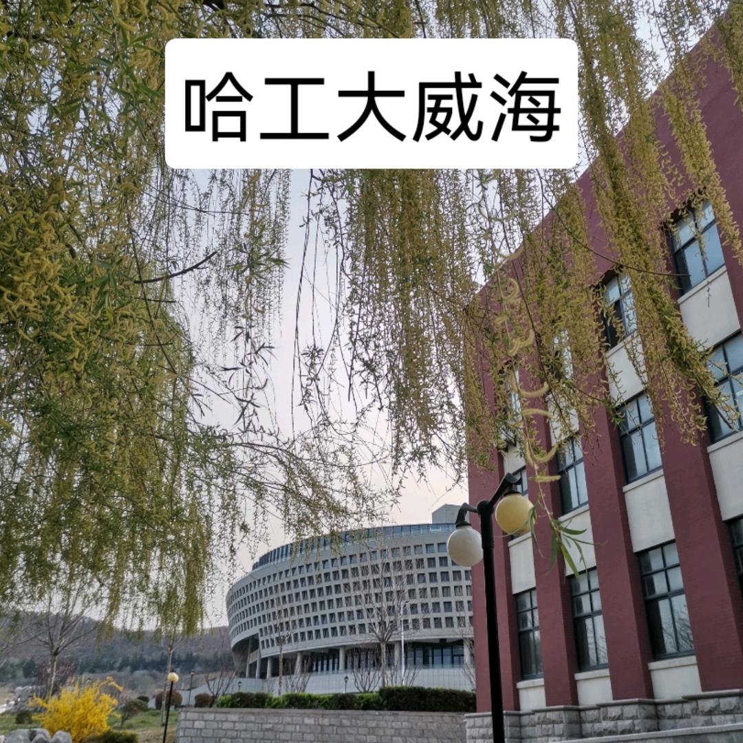 威海孙先生