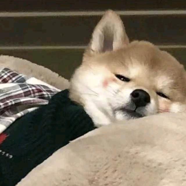 沉默的追剧人头像