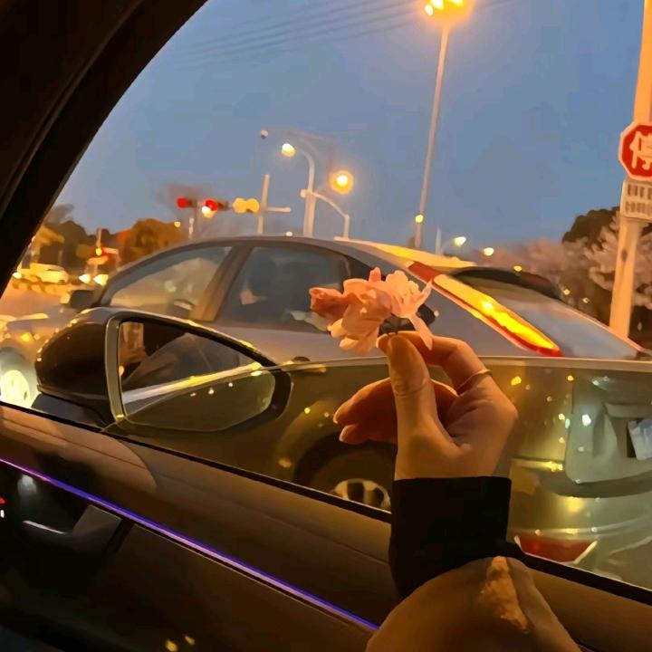 彩虹糖的梦想