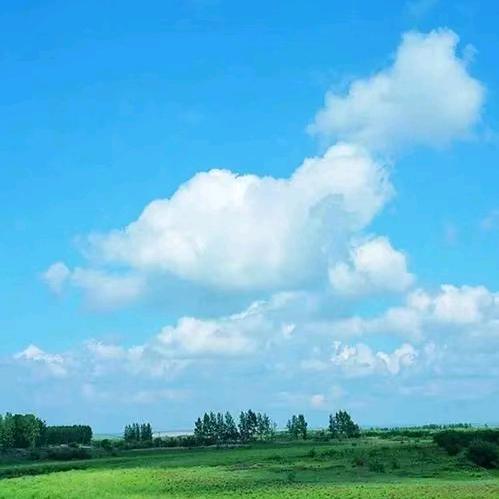 云淡风轻~