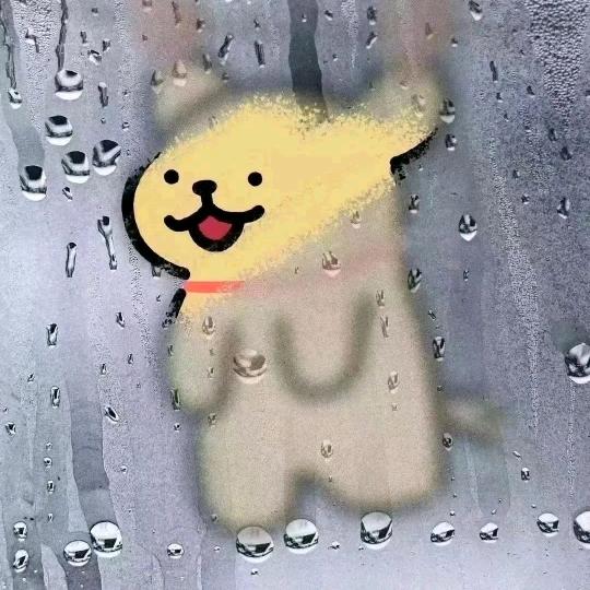 是怡宝耶
