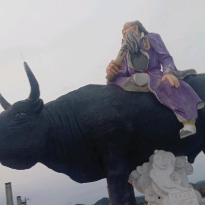 玄门道医