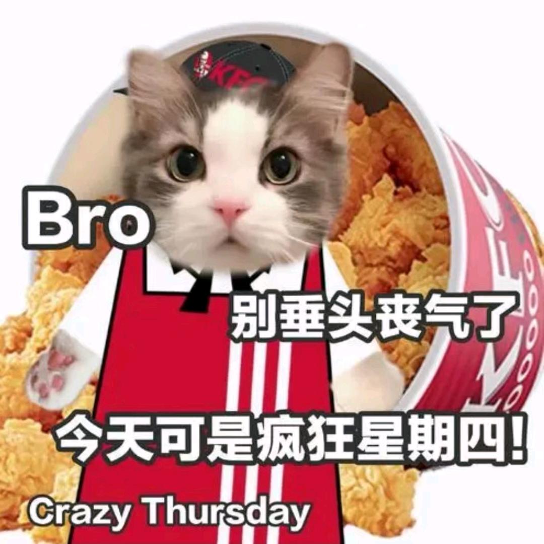 呀哈哈