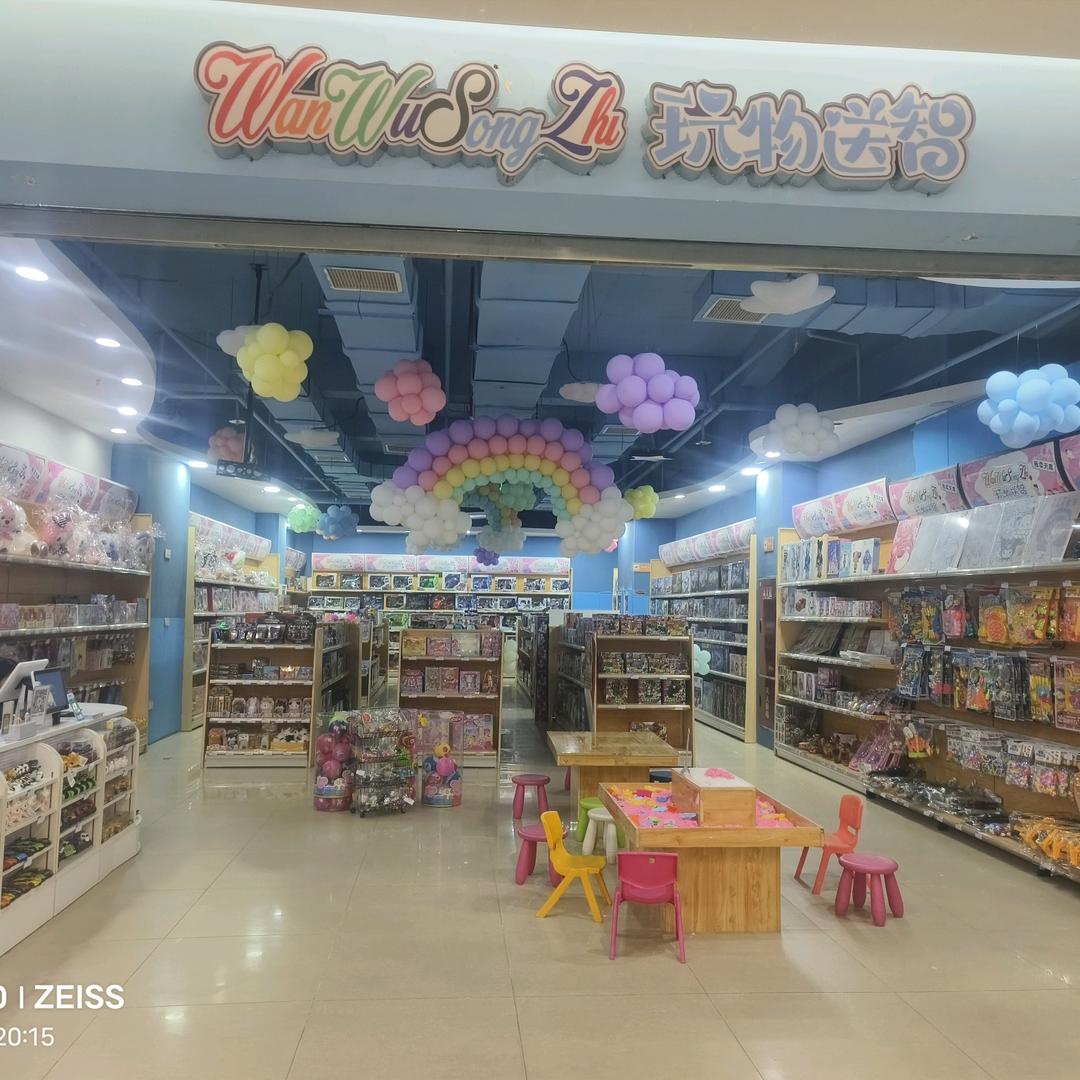玩物送智玩具店