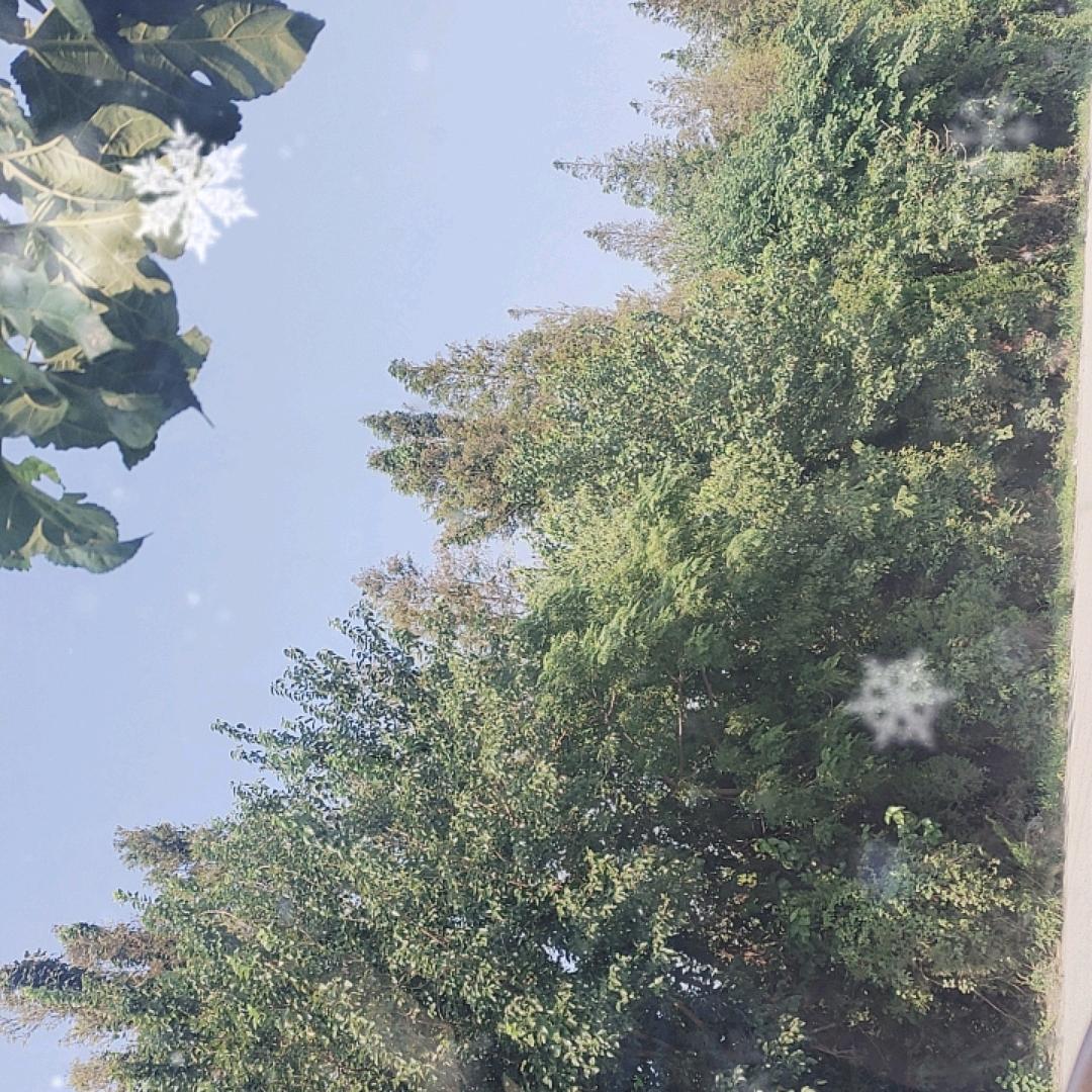 贾先生～
