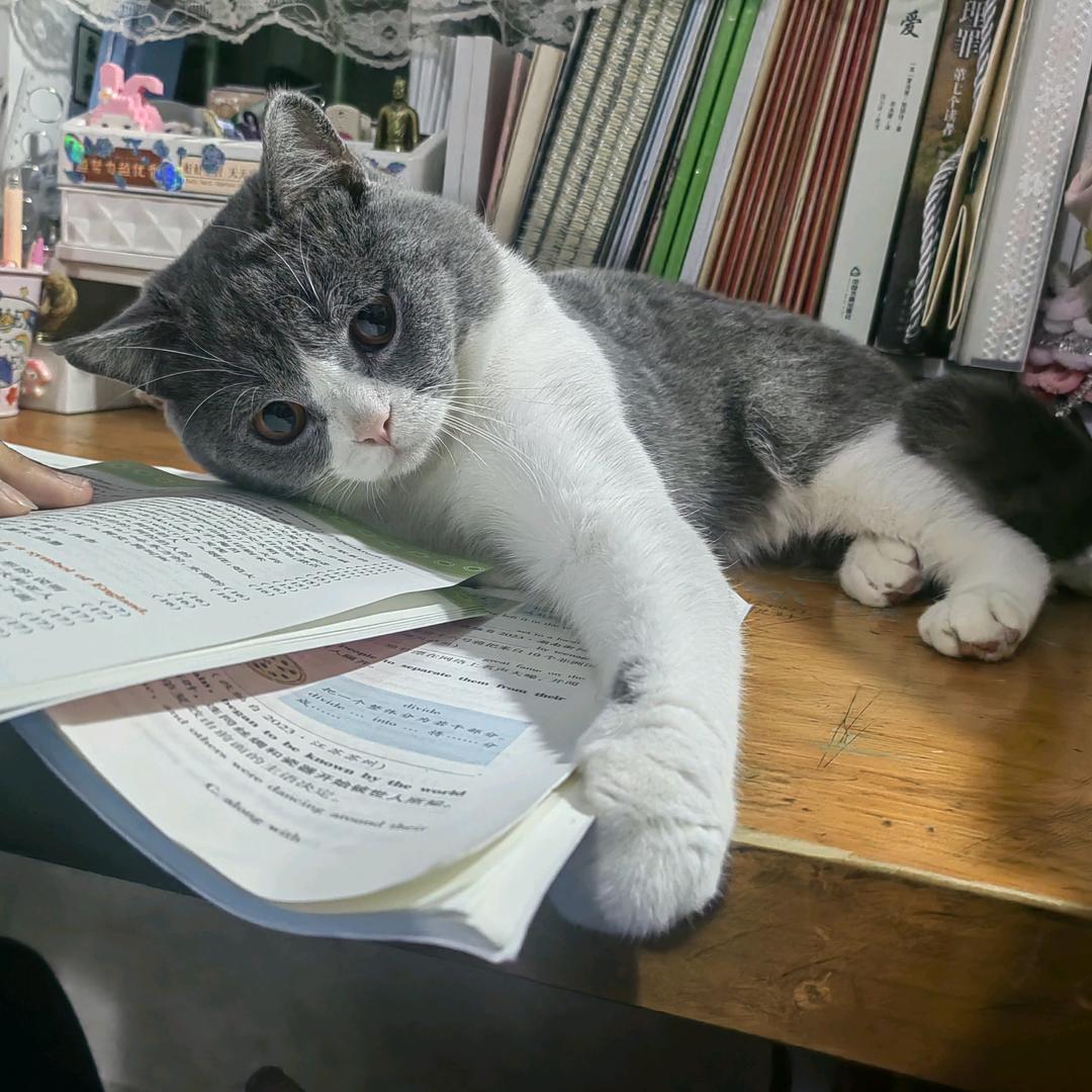 跳跳小屋