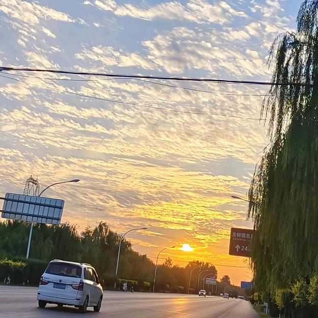 翠花儿
