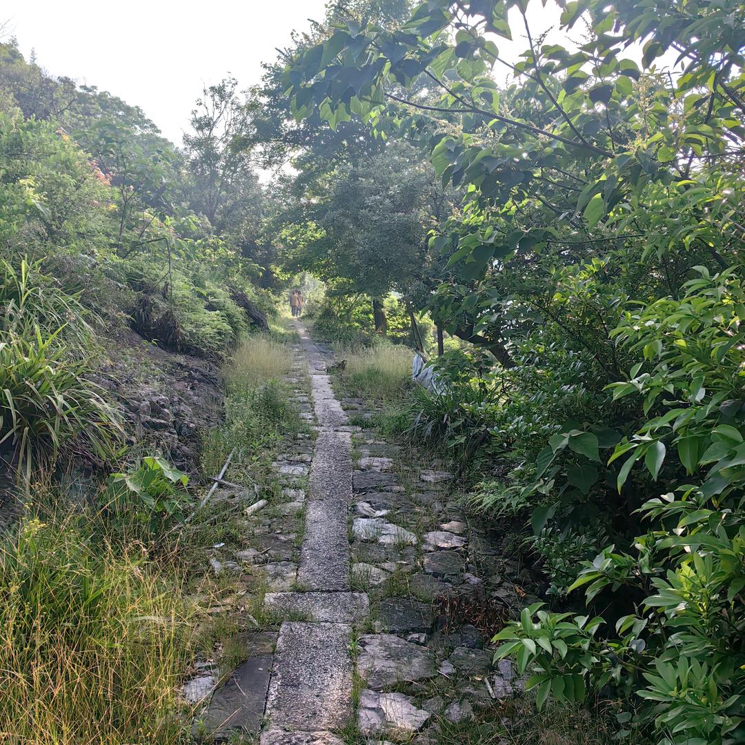 废物学佛
