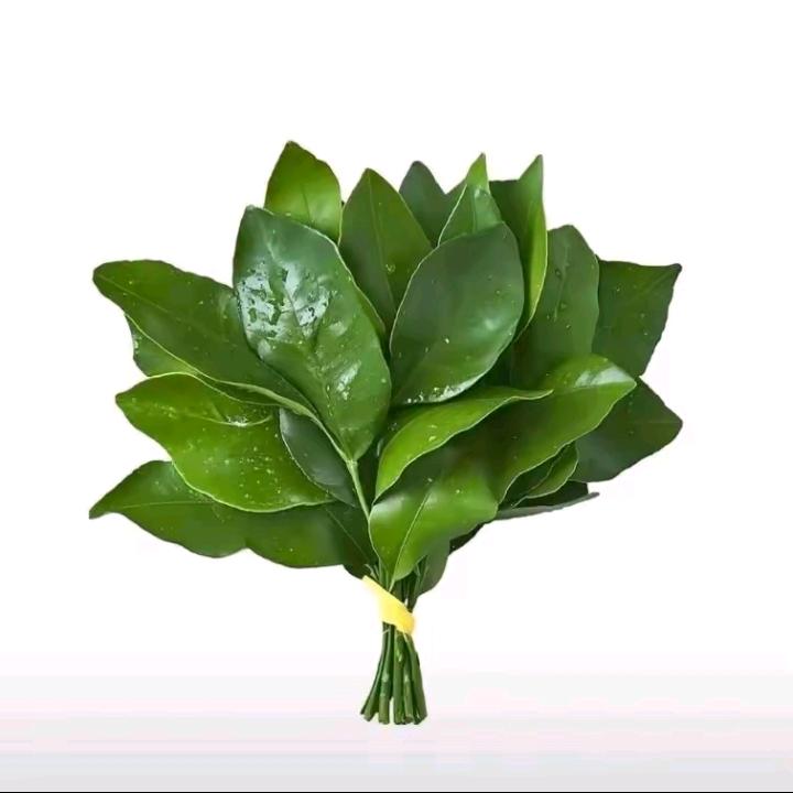 活着因为有实力