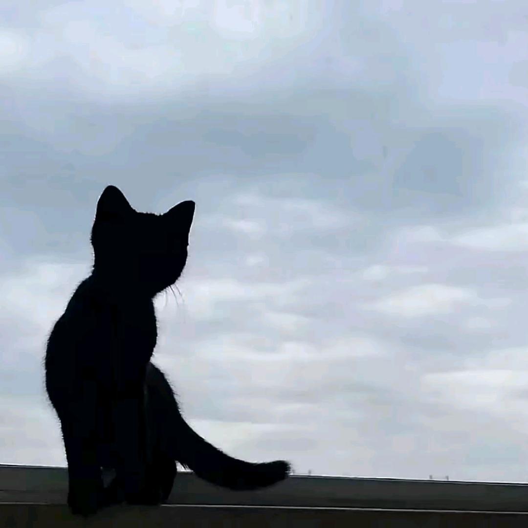 墨言