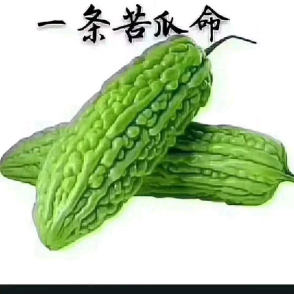 晚秋