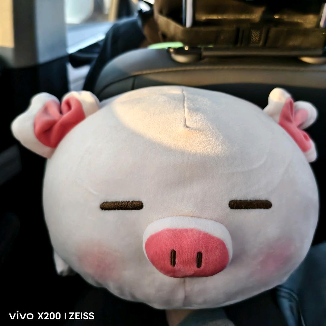 🇨🇳侬本多情💫