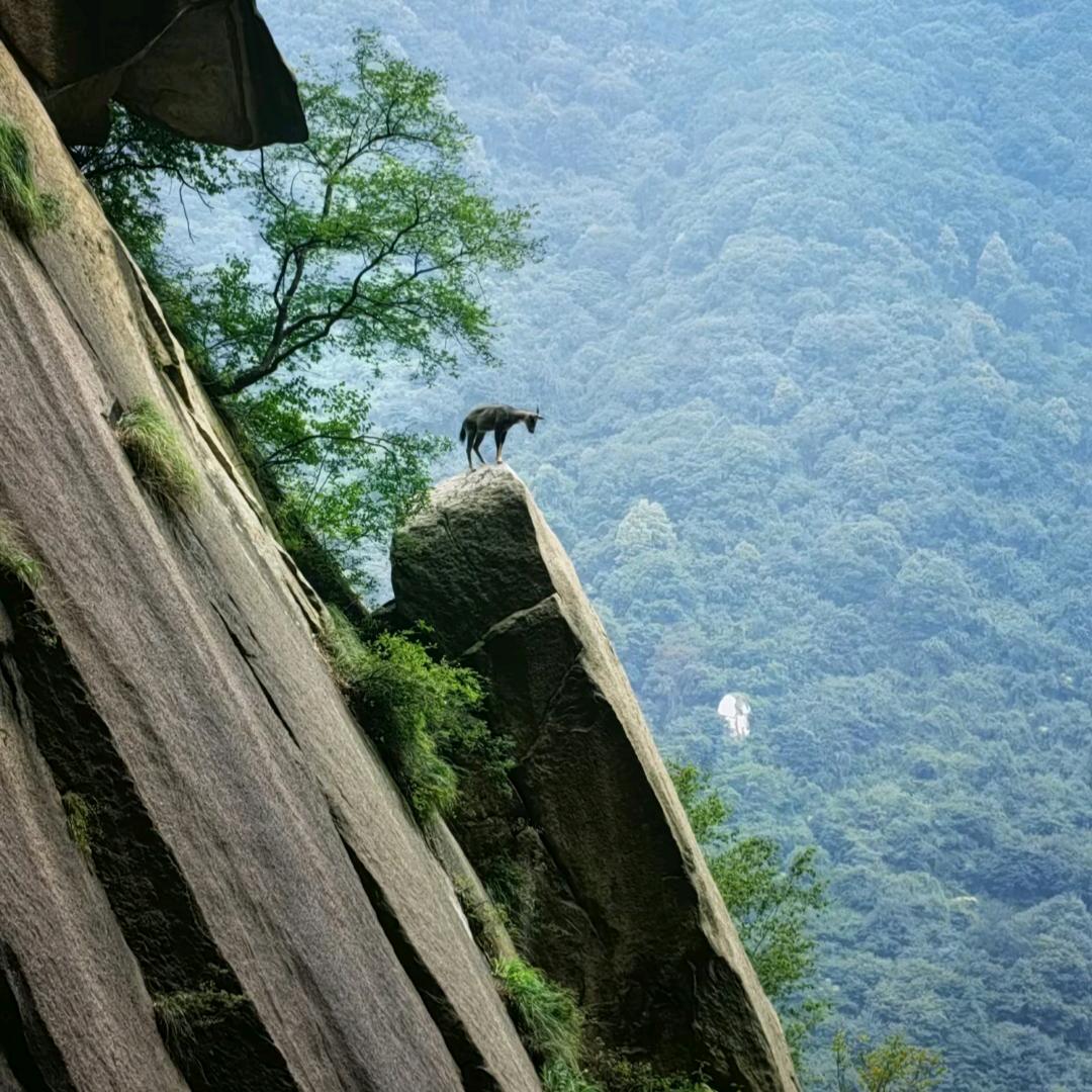 躺着看