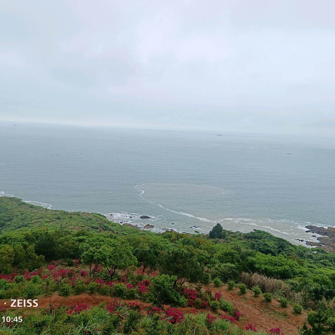 给我一杯忘情水
