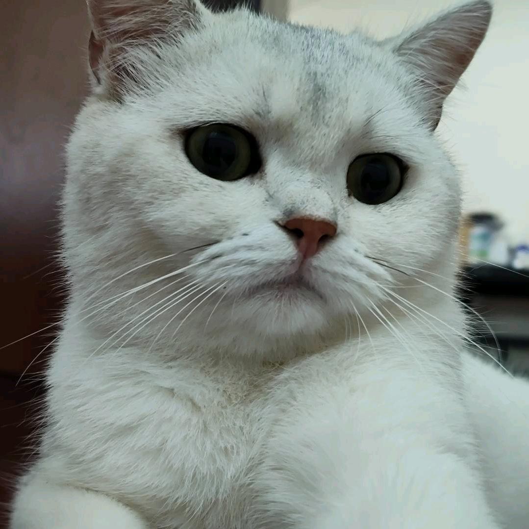 弯扳匠