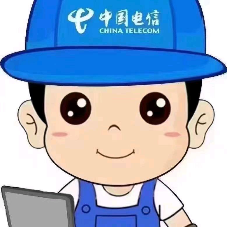 电信一哥聂保敏