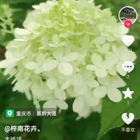 有你真好