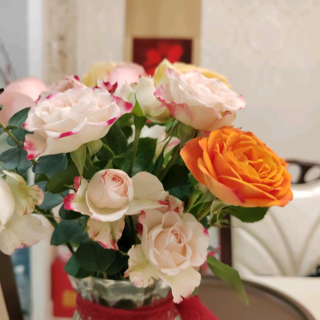 清茶🌹