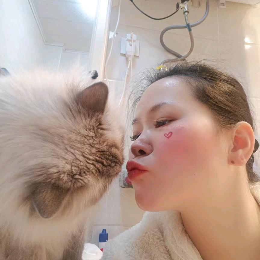 爱米粒🐱