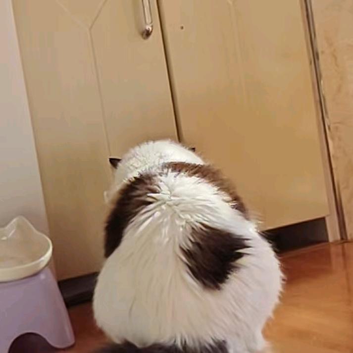 胡胡辣口锅.𓃰