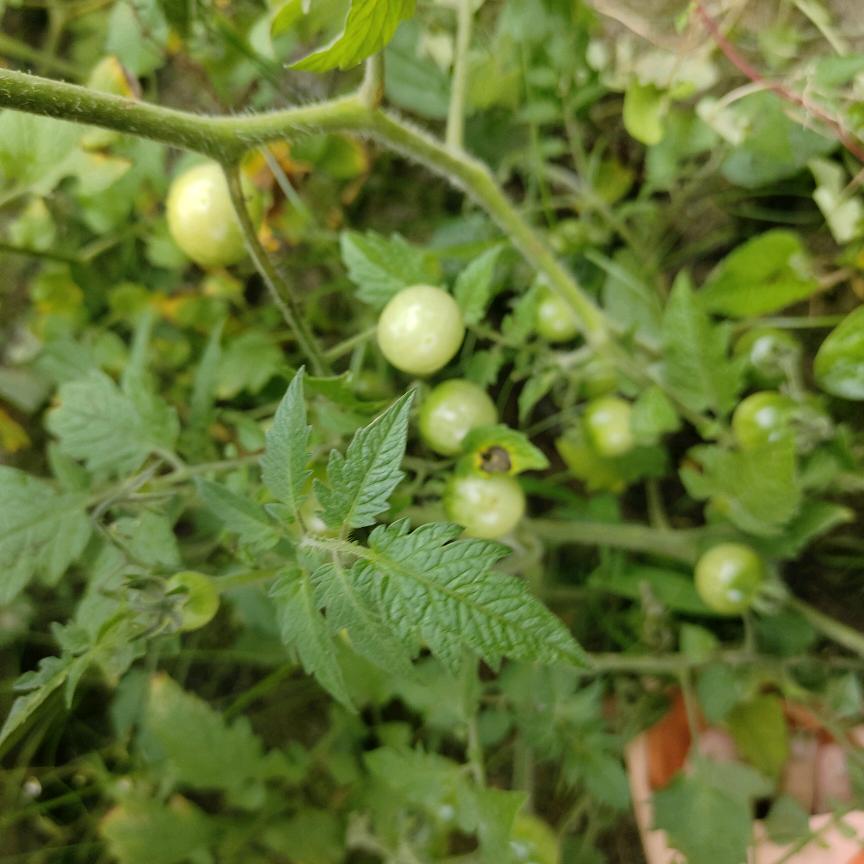 达卤姐卤味贵州毕节