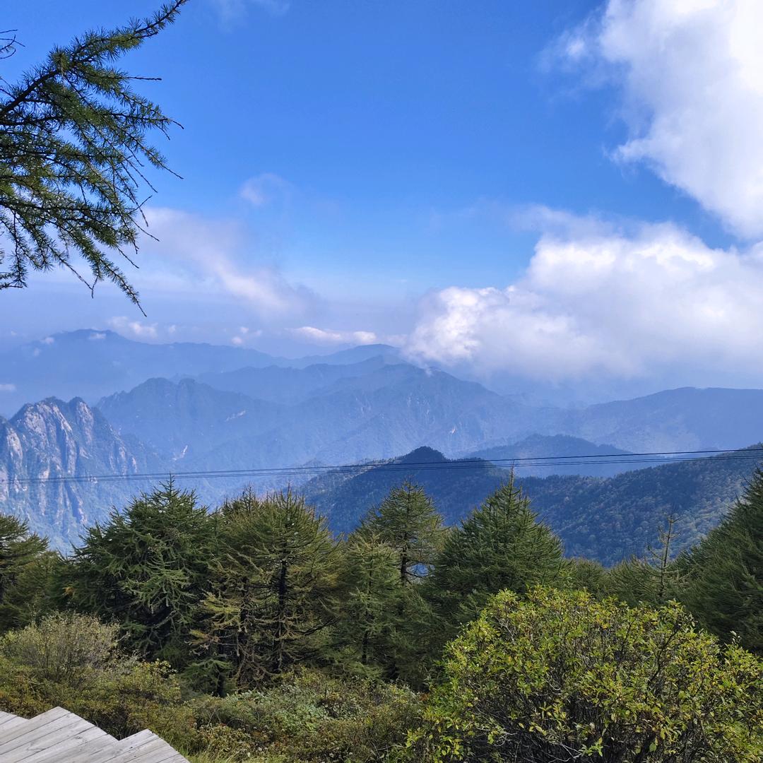 刘六大顺