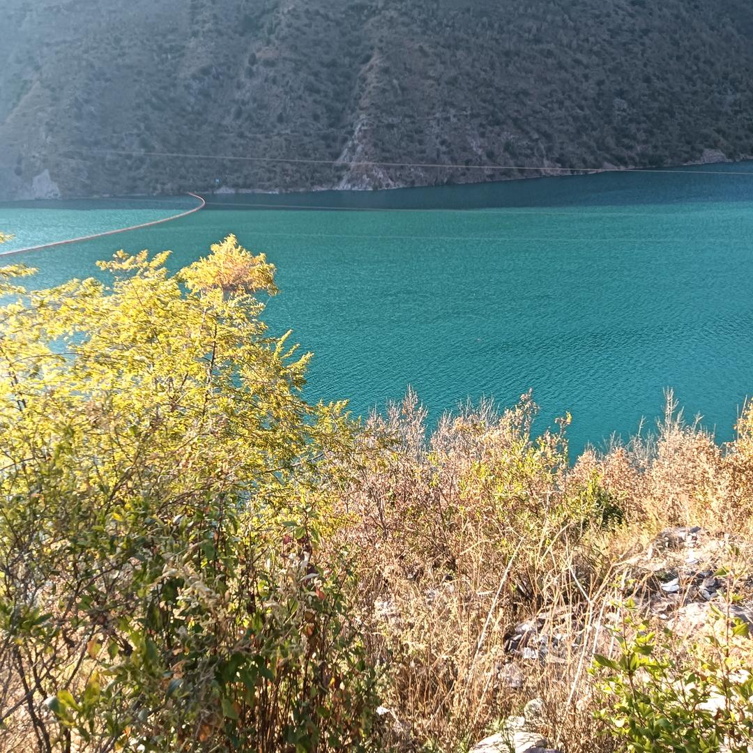 坐在坟前调戏鬼