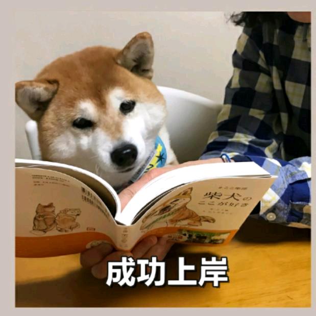 恭学天津专升本方方老师