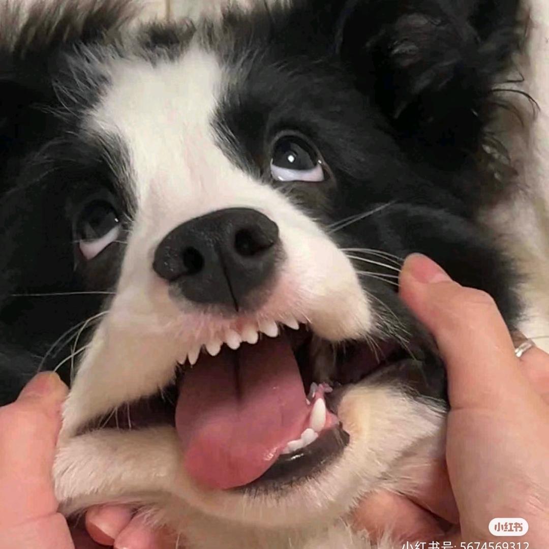 站住别动我要抱着你