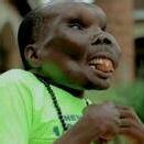 也无风雨也无晴