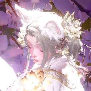 阿月（暖暖专属摄影师）