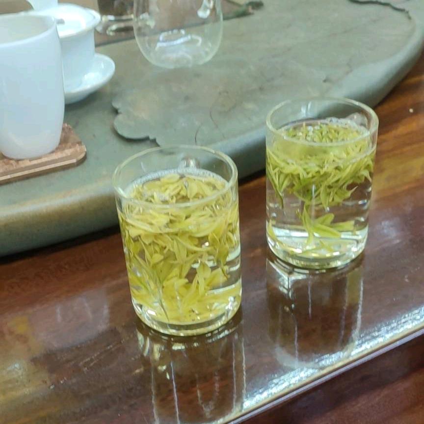 家乡美传播