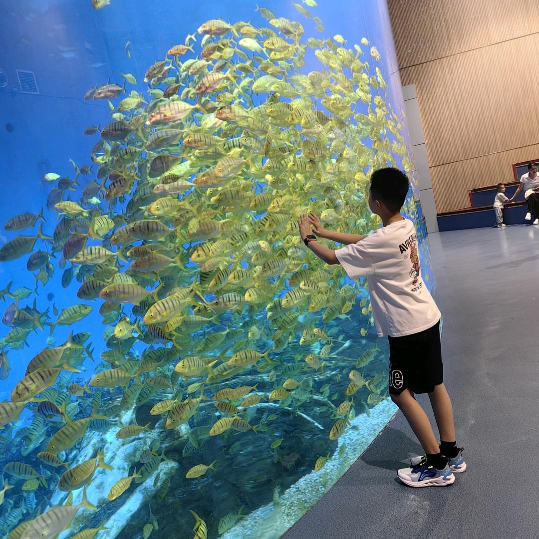 唐僧爱吃肉52898877078