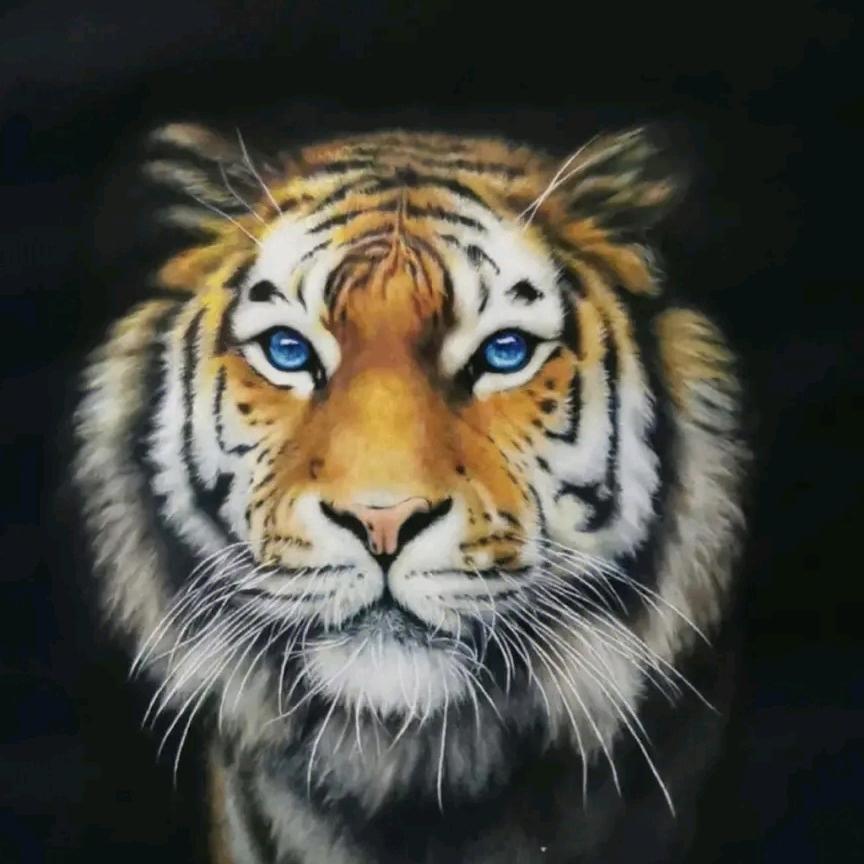 虎山聊设计