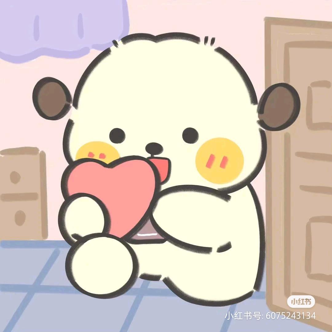 仙柒✨