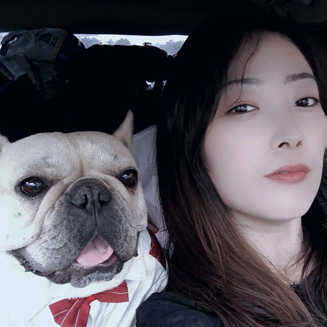 香香的法斗《皮卡》