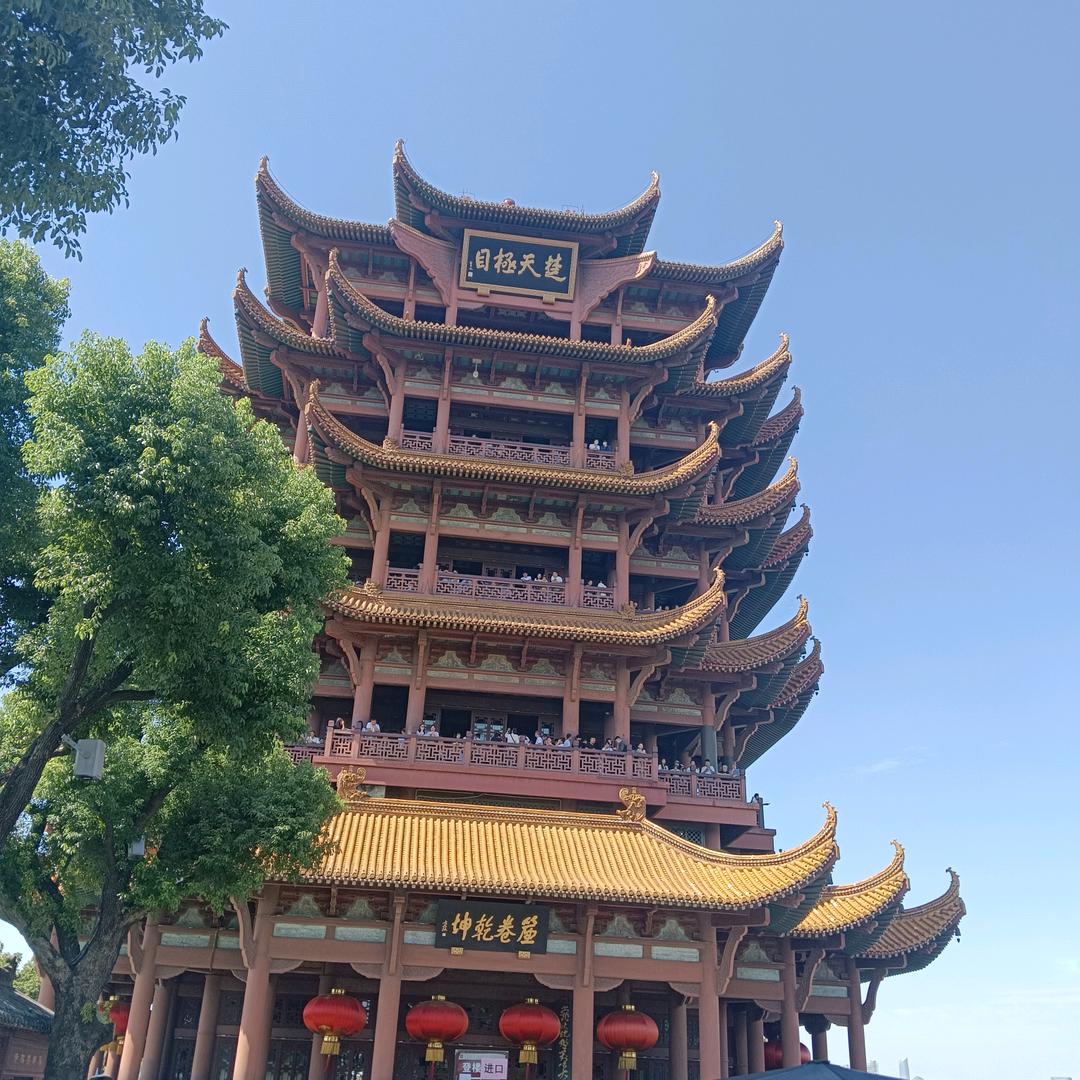 正在努力的路上