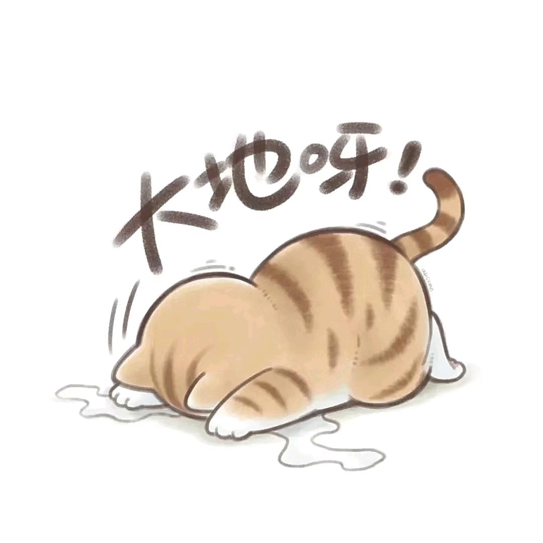 不许动