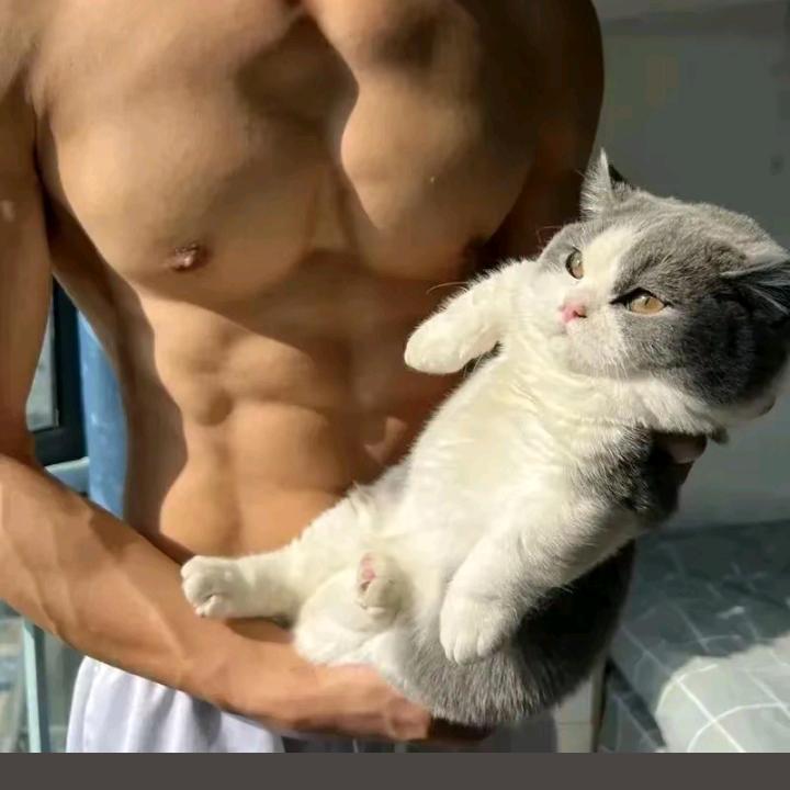 夜猫子.