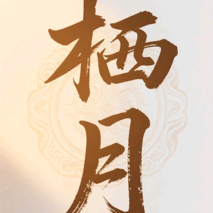 栖月高奢饰品
