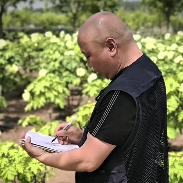 赵礼庄程峰练字官方号