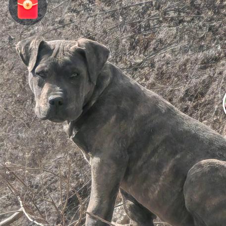 @@山里人，赵哥