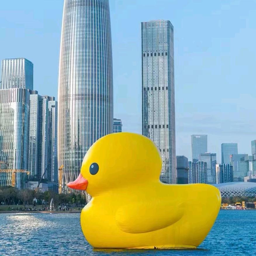 zzz的朋友圈