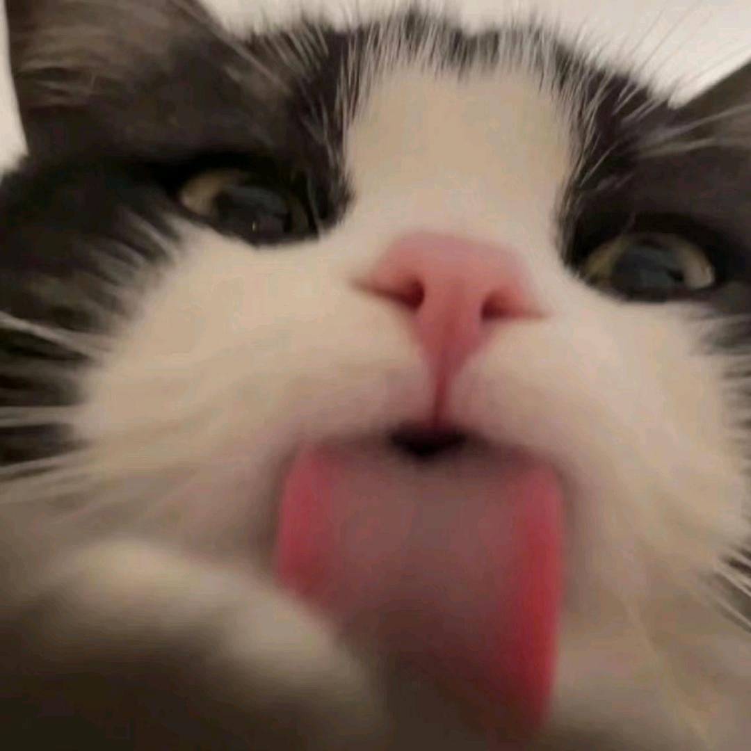 bcc