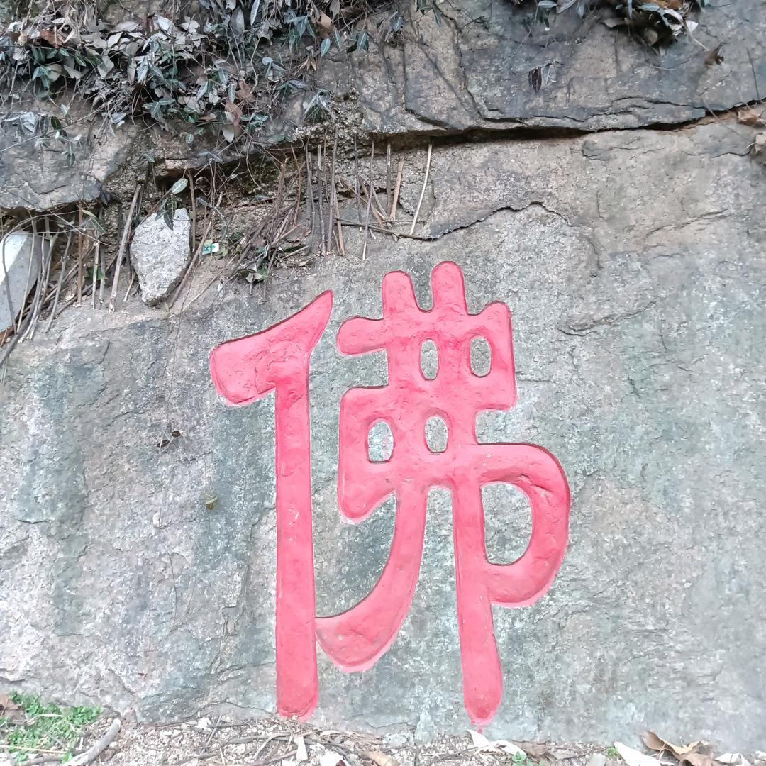望月